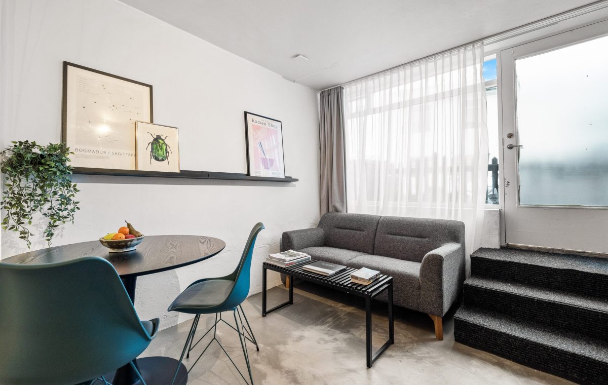 Spacious Studio in Downtown Reykjavik
